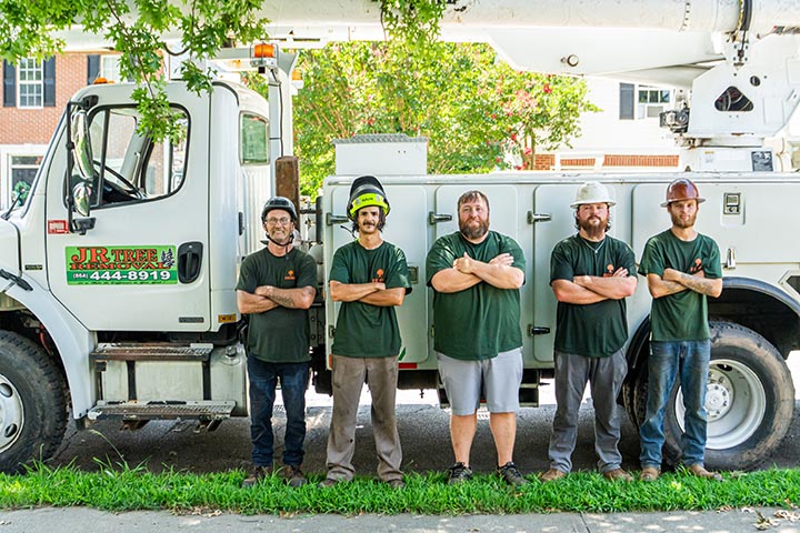 JR Tree Removal Services in Greenville SC
